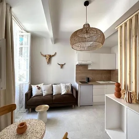 Une Parenthese Arlesienne Apartment Arles